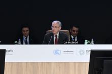 COP29 negotiating groups hold Congress