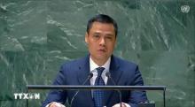 Vietnam backs UNGA resolution on Palestine’s UN membership