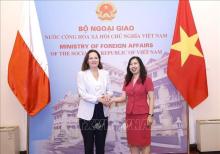 Vietnam, Poland convene deputy ministerial-level political consultation