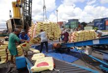 Vietnam, Philippines agree to establish rice industry alliance
