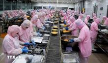 Vietnam fetches nearly 2 billion USD in fisheries exports