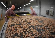 Vietnam's shrimp producers, exporters earn big from deep processing