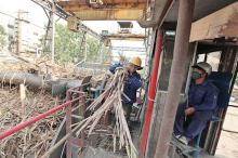 Thanh Thanh Cong-Bien Hoa's increased 2023 revenues have given the company a healthy boost in profits. (Photo Thanh Thanh Cong-Bien Hoa)