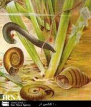 1st Int’l Confab On Parasitology, Parasite Diseases Planned