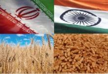 India’s MP State To Export 1.98 lakh Metric Tonnes Of Wheat To Iran   