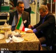 Russian Publishers Keen To Cooperate With Iranian Counterparts : Official  