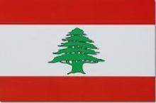 Lebanese Officials Condemn Anti-Islam Film  