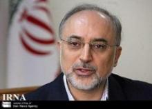 Salehi: IAEA Delegation New Visit, Result Of Past Agreements   