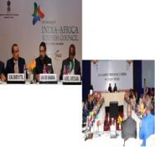 India-Africa Sets Target Of Bilateral Trade As US$ 90b By 2015   
