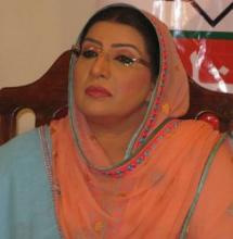 Pakistani Minister Terms Iran Gas Project Lifeline