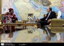 Salehi Emphasizes Iran’s Strong Will To Expand Ties With African Countries