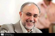 Iran-Egypt Share Many Commonalities: Salehi