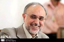 Iran-Egypt Share Many Commonalities: Salehi 