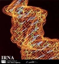 Iran’s Nanotechnology Is Unique In Mideast