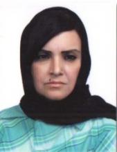 Columnist Praises Iran’s Strong Stance Against US Policies
