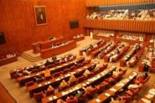 Pakistani Senate Condemns Massacre Of Muslims In Myanmar