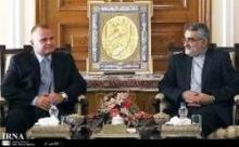 MP: Majlis Supports More Parliamentary Co-op With Poland  