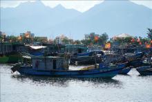 Zero-tolerance policy toward IUU fishing practices: Vietnamese Deputy Minister