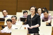 Vietnam ready to organise two-tier local administration: home affairs minister