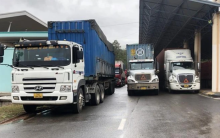 Vietnam-Laos trade turnover increases sharply in January