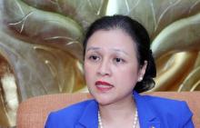 Ambassador Nguyen Phuong Nga (Photo: VNA)