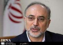Salehi: Cases Of 6 Iranians Sentenced In S. Arabia Being Followed Up