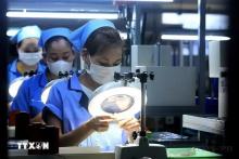 Vietnam’s manufacturing PMI rebounds after super typhoon