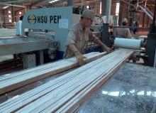 Vietnam earns more than 9.3 billion USD from forestry exports this year (Photo: VNA)