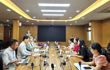 Vietnam, FAO promote hi-tech farming, create livelihoods for farmers