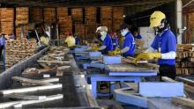 UK’s participation in CPTPP and opportunities for Vietnam