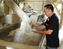 A worker checks the quality before it is packaged. (Photo: VNA)