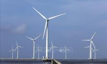 The Bac Lieu wind power plant (Photo: VNA)