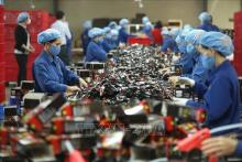 The monthly average income of Vietnamese labourers in 2023 reaches 7.1 million VND.- Illustrative image (Photo: VNA) 