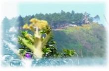 Int'l tourists charmed by Thailand’s mountain peak