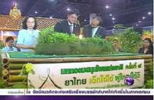 Thailand organises 8th herbal fair