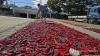 Drying hot peppers