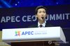 BTS' RM gives speech at APEC event