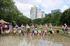 Rice planting