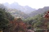 Early autumn foliage on Mount Seorak