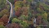 Autumn leaves on Mount Nam