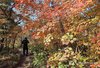 Mountaineers walk through a trail on Mount Seorak in Sokcho on South Korea's northeastern province of Gangwon on Sept. 30, 2026, as trees on the mountain turn autumn colors of red and yellow. A definition by the Korea Meteorological Administration says that the start of the changing of the leaves is pronounced when 20 percent of the mountain's trees from its peak are tinged. Fall foliage is expected to reach peak color around mid and late October, when 80 percent of the trees on the mountain are tinged with