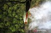 A helicopter operation to extinguish forest fire 
