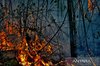 A forest and land fire in South Kalimantan