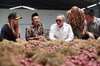 Coordinating Minister for Food Zulkifli Hasan (center) inspects shallots