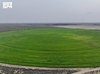 Environment Ministry Announces Six Agricultural Investment Opportunities in Jazan Through Furas Platform