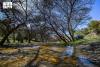 Recent Rains Enhance Al-Baha's Natural Scenery Ahead of Summer Season