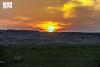 Northern Borders Region: Vast Pastures and Seasonal Meadows Enhance Ecotourism Appeal