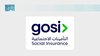 GOSI Participates in 133rd Bureau Meeting of ISSA in Geneva