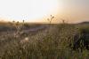 Qassim's Natural Diversity Boosts Position as Ecotourism Destination