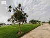 Najran's Green Spaces Offer Summer Retreat for Visitors